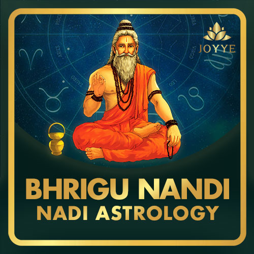 Bhrigu Nandi Nadi Astrology Course JOYYE